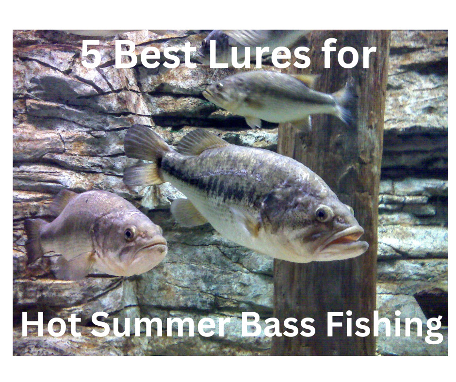 5 Best Lures for Hot Summer Bass Fishing - NXTLVL Marine